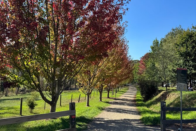 Yarra Valley Foodie Tour, Devonshire Tea, Cheese and Chocolate - Price and value: what $142.73 buys you