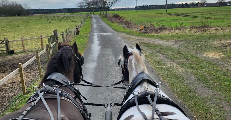 York: Horse Drawn Carriage ride & Cream Tea - Riding Into the Skipwith Countryside Where the Pace Drops