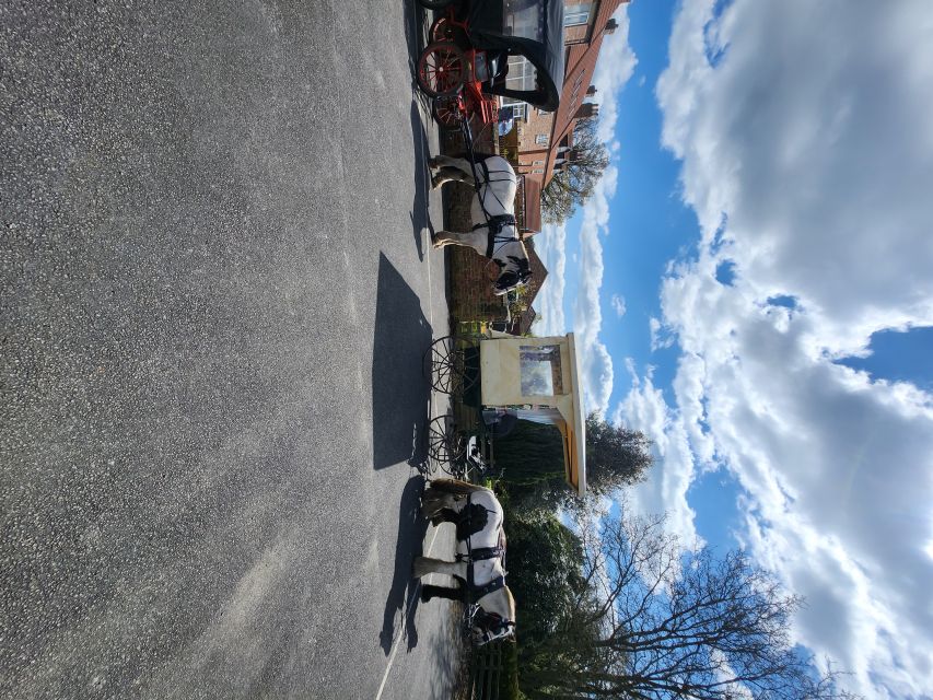 York: Horse Drawn Carriage ride & Cream Tea - Private Group Comfort: Why Small Makes It Better