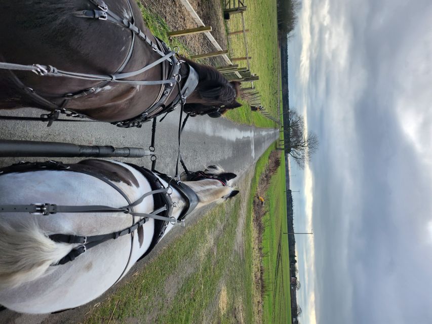 York: Horse Drawn Carriage ride & Cream Tea - What You’ll Eat: Cream Tea That’s Built Into the Ride