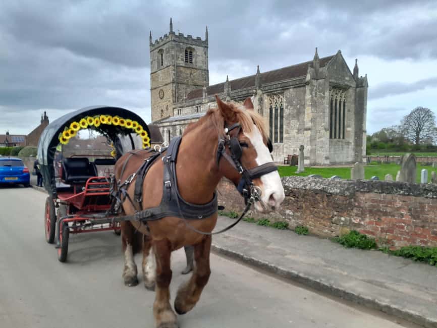 York: Private Horse-Drawn Carriage Ride and Afternoon Tea - Price and Value: $175 for Up to 5 People