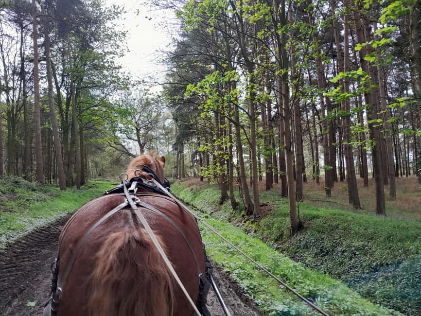 York: Private Horse-Drawn Carriage Ride and Afternoon Tea - Add-Ons and Longer Tours: Plan Ahead for More Time